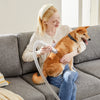5-in-1 Cordless Pet Grooming Vacuum