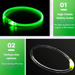 USB Rechargeable LED Dog Collar | Light-Up Night Safety Collar