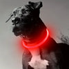 USB Rechargeable LED Dog Collar | Light-Up Night Safety Collar