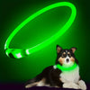 USB Rechargeable LED Dog Collar | Light-Up Night Safety Collar