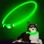 USB Rechargeable LED Dog Collar | Light-Up Night Safety Collar