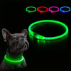 USB Rechargeable LED Dog Collar | Light-Up Night Safety Collar