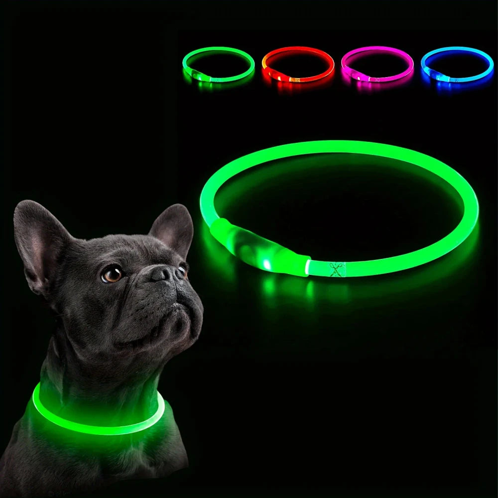 USB Rechargeable LED Dog Collar | Light-Up Night Safety Collar