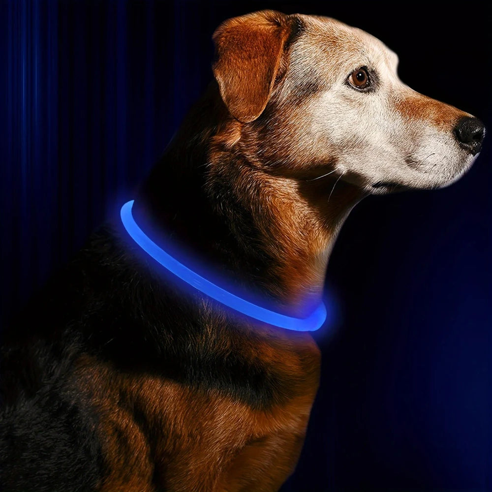 USB Rechargeable LED Dog Collar | Light-Up Night Safety Collar