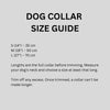 USB Rechargeable LED Dog Collar | Light-Up Night Safety Collar