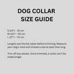 USB Rechargeable LED Dog Collar | Light-Up Night Safety Collar