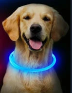 USB Rechargeable LED Dog Collar | Light-Up Night Safety Collar