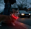 USB Rechargeable LED Dog Collar | Light-Up Night Safety Collar