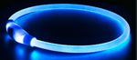 USB Rechargeable LED Dog Collar | Light-Up Night Safety Collar