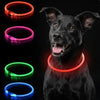 USB Rechargeable LED Dog Collar | Light-Up Night Safety Collar