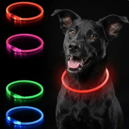 USB Rechargeable LED Dog Collar | Light-Up Night Safety Collar